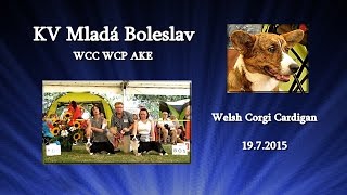 KV Mladá Boleslav WCC 2015