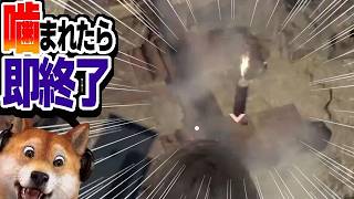 噛まれたら即終了 バイオハザードRE:4 / part425