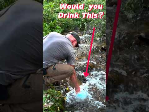 Mountain Survival: Finding Safe Water FAST (No Filter Needed?)
