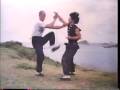 Wing Chun And Grandmaster IP Man