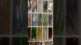 樫内利政 撮影　津風呂湖釣行のご報告です。