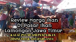Download lagu PASAR IKAN LAMONGAN||PASAR TERBESAR DIKOTA LAMONGAN. mp3