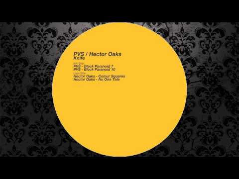 PVS - Black Paranoid 10 (Original Mix) [KEY VINYL]