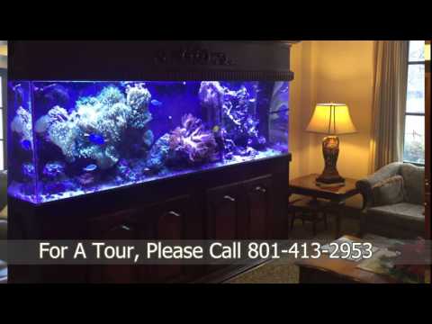 Video tour of Courtyard at Jamestown