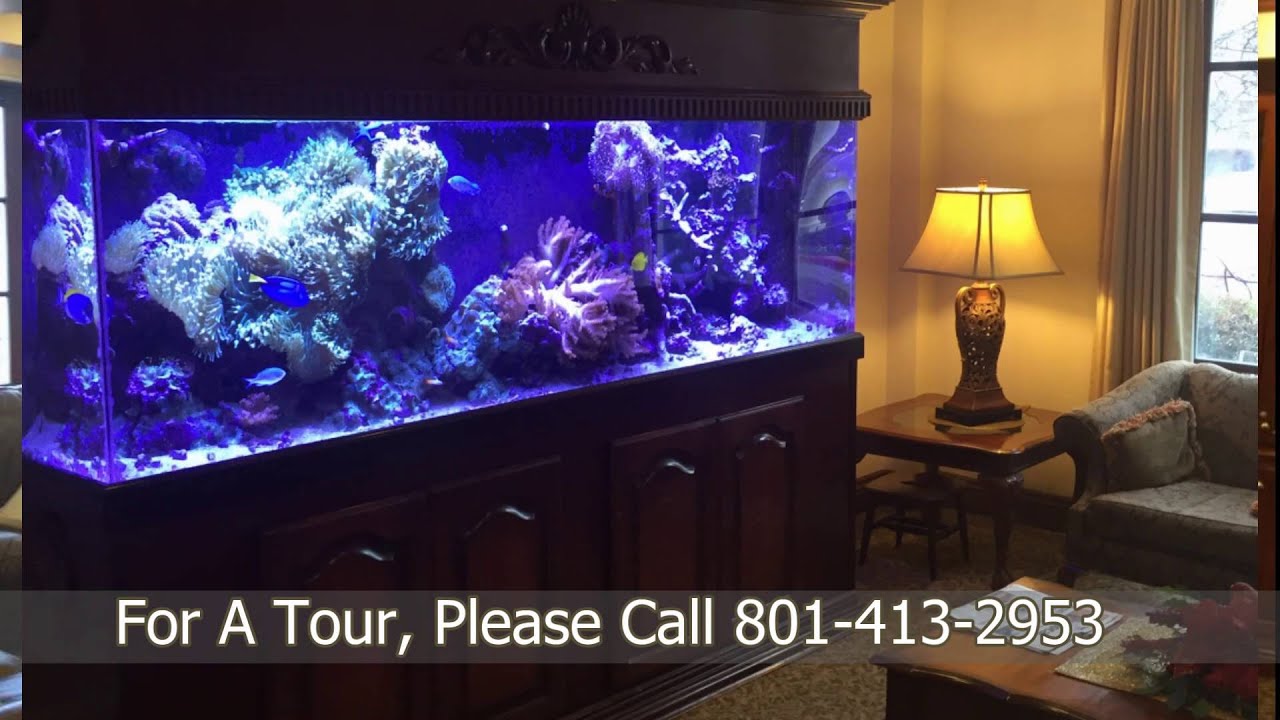 Video tour of Courtyard at Jamestown