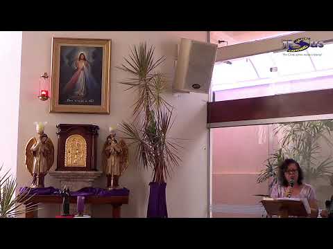 Reze e Medite a via Sacra.