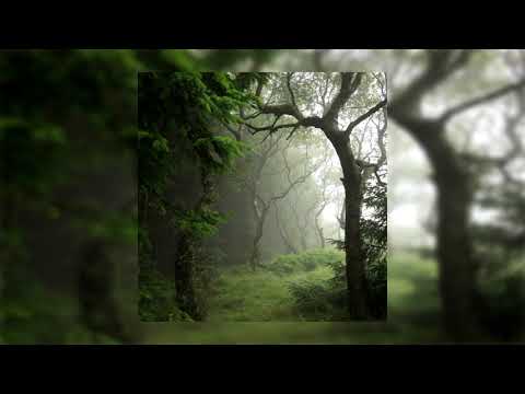 *FREE* lil peep x nothing,nowhere type beat - mystery forest [prod. metlast]