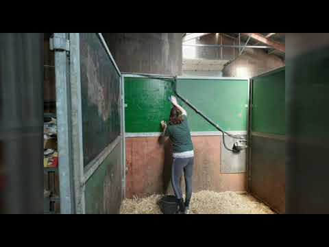 Holzik Stables coronavlog #6