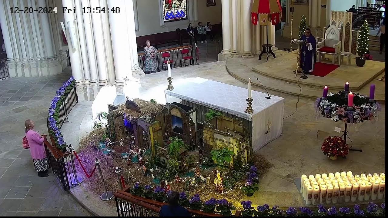 Transmisión Eucaristía Basílica de Lourdes   2024