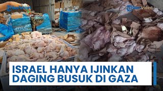 Krisis Bahan Makanan dan Kelaparan di Gaza Masih dalam Kondisi Berat meski Gencatan Senjata Berjalan