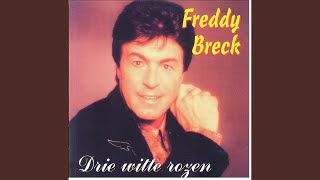 Tanz mit mir durch die nacht