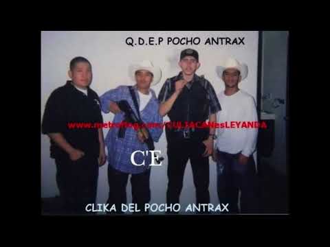 El Pocho Antrax - Kalidad Sinaloense 2011