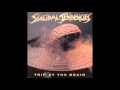 Suicidal Tendencies - Suicyco Mania