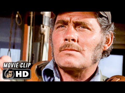 Quint Hooks Shark Scene | JAWS (1975) Movie CLIP HD