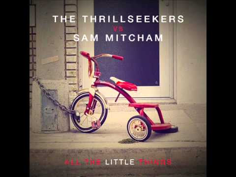 The Thrillseekers vs. Sam Mitcham ‎- All the Little Things (Basil O'Glue Remix)
