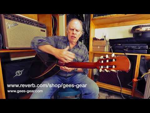 Giannini Craviola AWKNS6 / Nylon String and Bossa Ready! image 23