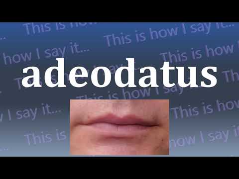 This is How I Say...adeodatus