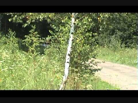 20 Rajd Rzeszowski  Adam Binięda/Kamil Budny