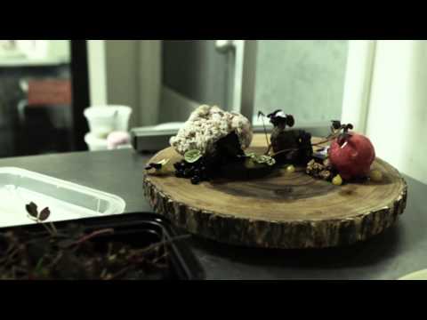 CHEF MICHAEL PATLAZHAN, "EXPERIENCE THE PALETTE, BEFORE THE TASTE"