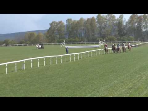 MI, 16. 4. 2017, 4. dostih - Cena firmy MAESTOSO Luna