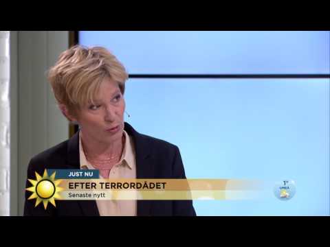 Ann Tiberg:"Samtal om hårdare terrorlagar väntas idag" - Nyhetsmorgon (TV4)