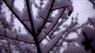 Not So Tough Found Out (March Snow)