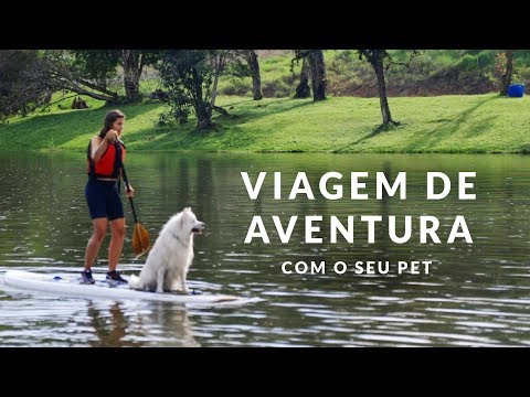 Rio Abaixo em Juquitiba | Pet Trip | Vlog do Num Pulo