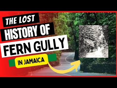 The LOST HISTORY Of the FERN GULLY In St Ann, Jamaica
