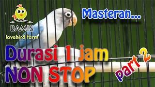 Download lagu Masteran Lovebird 1 jam nonstop ngekek panjang kus... mp3