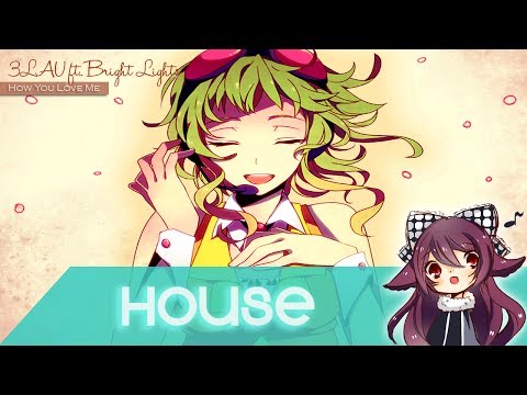 【House】3LAU ft. Bright Lights - How You Love Me