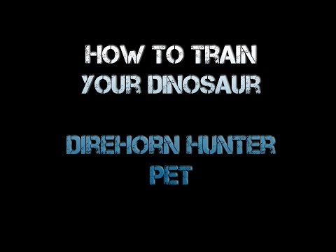 How To Get A Direhorn Hunter Pet