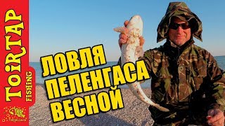 Рыбалка на украине и азовском море в августе