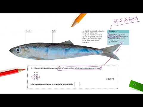 Rezolvarea subiectului de EN I