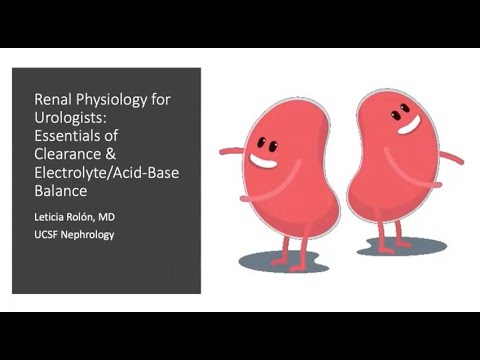 3.16.2021 Urology COViD Didactics - Renal Physiology for Urologists