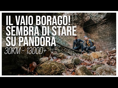 TRAIL RUNNING SU PANDORA! // paesaggi spettacolari a 10 minuti dalla città