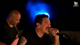 Borracho - Streamtime