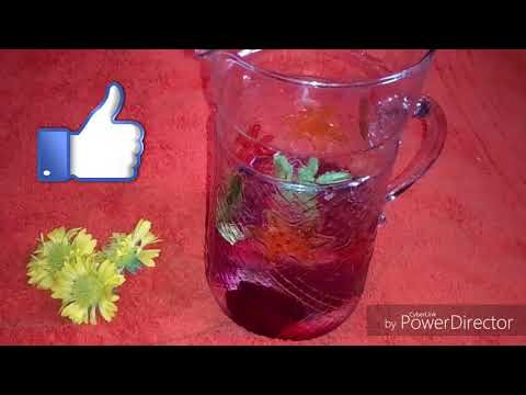 Ang low-carb diet menu para sa isang buwan upang mawalan ng timbang Dog manipis at namamaga ang tiyan