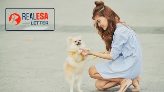 ESA Dog 🐶 Training - Train your pet to become an emotional support animal