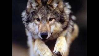 Autopilot Off - Divine Intervention