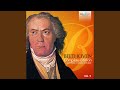 33 Variations on a Waltz in C Major, Op. 120: XX. Presto