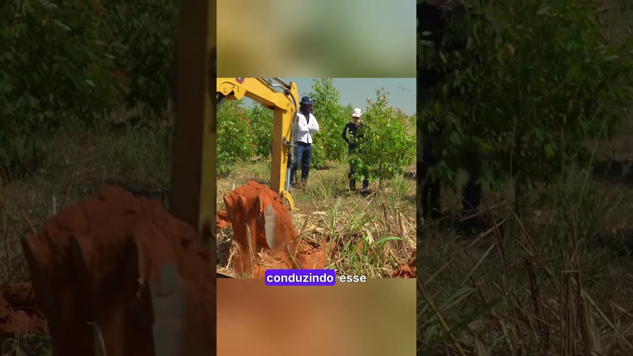 PESQUISA PARA QUANTIFICAÇÃO DO ESTOQUE DE CARBONO NO SOLO.mp4