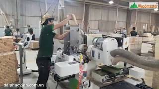 MÁY ĐÁNH MỘNG DƯƠNG 2 ĐẦU CNC WM-200B WOODMASTER