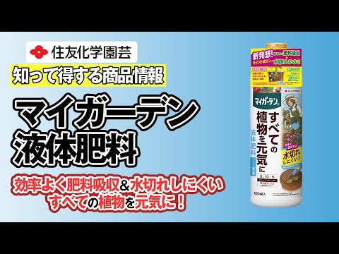自家製天然肥料のレシピ藻類青々とした植物