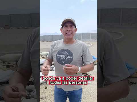 ¿Va a tener pórtico de ingreso? 🏠🌳