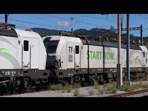 PANORAMICA  CHIASSO SMISTAMENTO- NEW TX LOGISTK E7193-300 -TF  START NOW