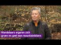 Wandelaars ergeren zich groen en geel aan mountainbikers
