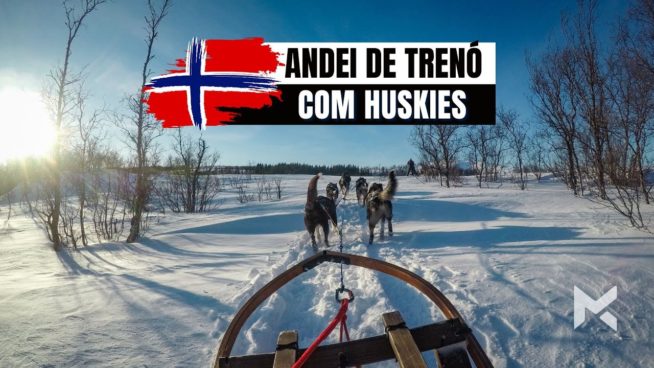dog sledding tromso video