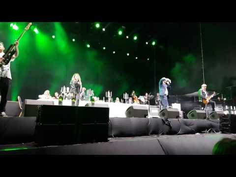 Kõik boyz @ Õllesummer 2016(1)