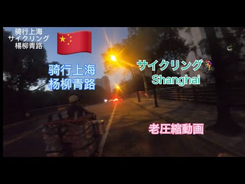 [Ciclismo em Xangai] Yangliu Qing Road Meiling North Road China Share Cycle [Changing Shanghai] Cidade Mágica Ciclismo Compartilhado Conveniência Yangliu Qing Road Time Liqun Super Market ciclismo Xangai