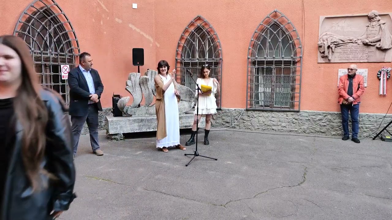 Satu Mare Cult Auchan 17.05.2026